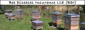 Bee Diseases Insurance Ltd (BDI)