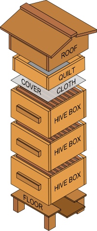 Exploded view of Warré hive