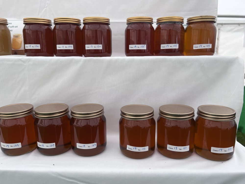 Honey exhibits