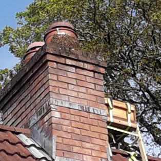 Swarm on chimney