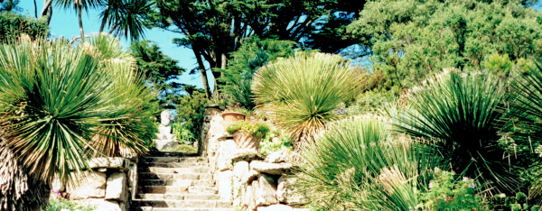Tresco Tresco