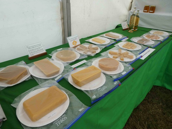 Wax display Wax display
