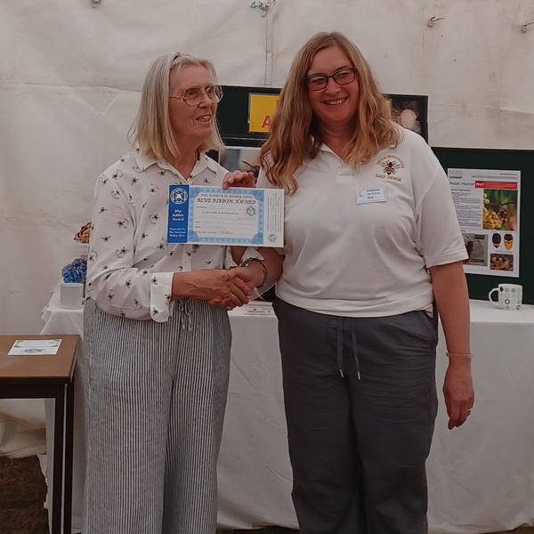 Blue Ribbon Award Blue Ribbon Award