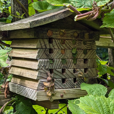 Bee hotel