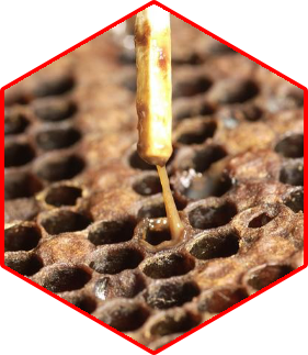 Matchstick test for AFB