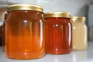 Honey harvest