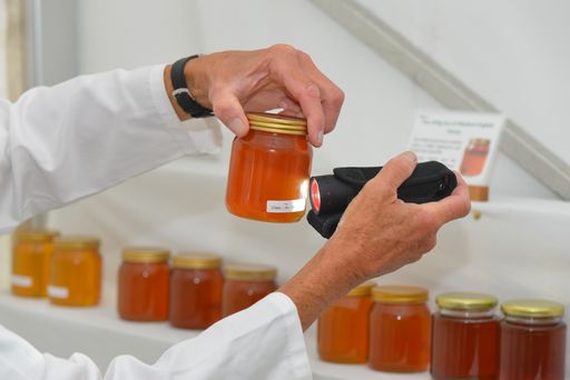 Taking part at the Honiton Show