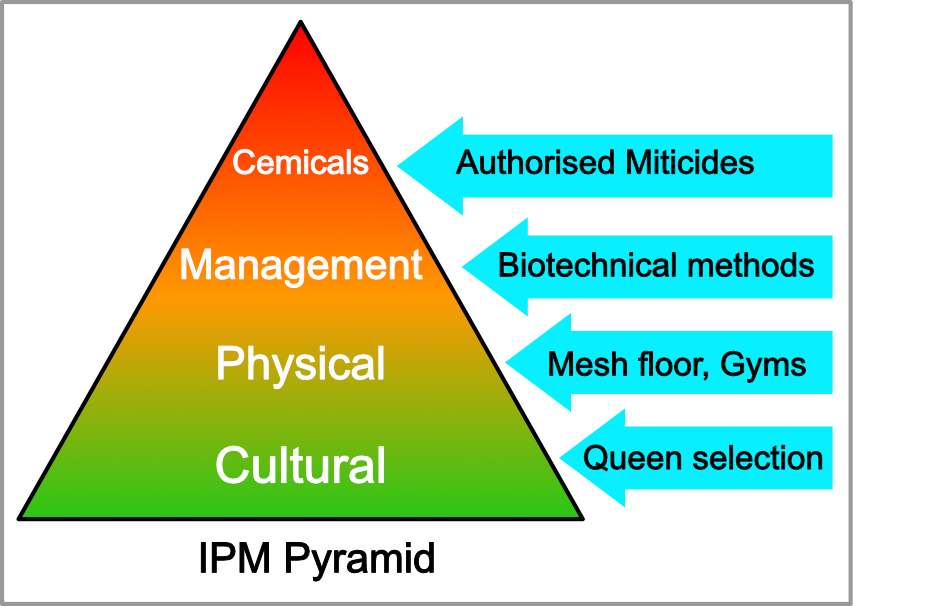IPM Pyramid