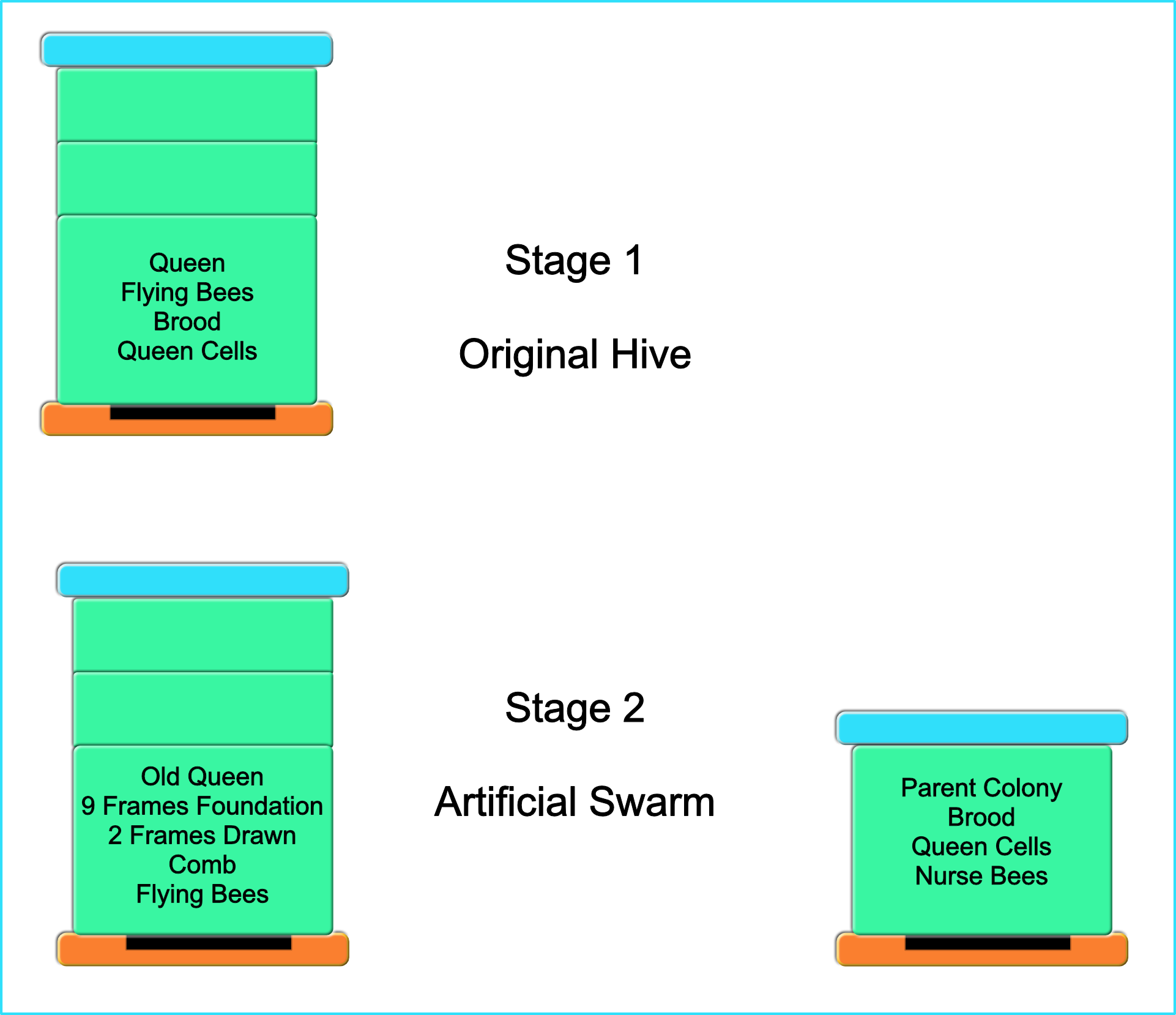 Schematic of artificial swarm