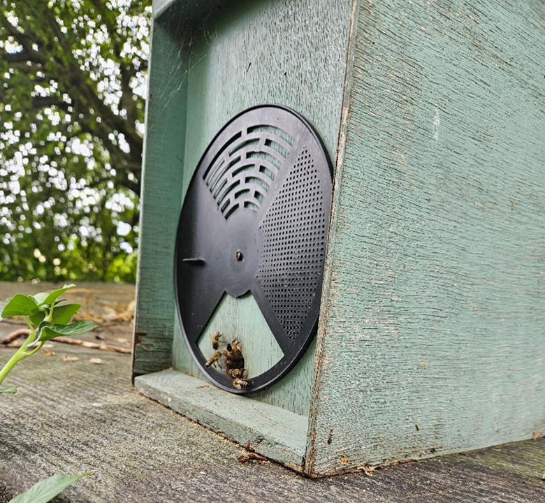 Nuc on shed roof