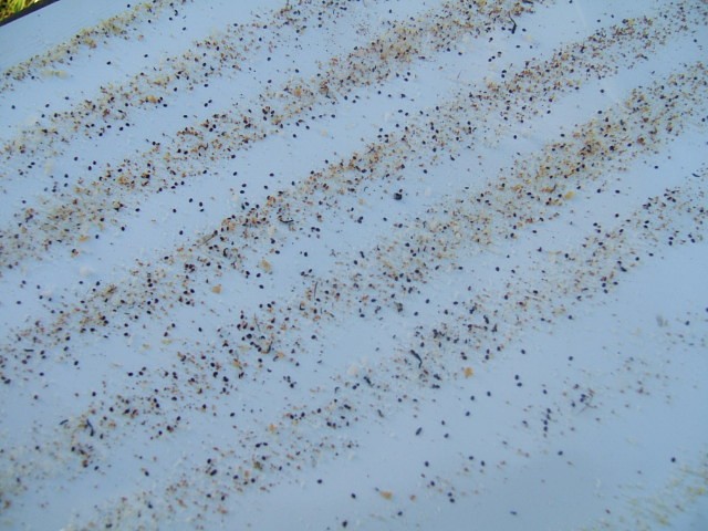 VMF tray debris